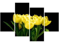 140CM 70 OBRAZ ŻÓŁTE TULIPANY- MARK FREETH ŚCIENNY
