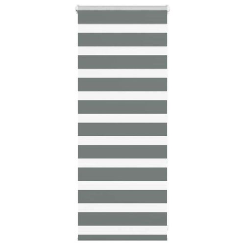 Roleta zebra, ciemnoszara, szerokość tkaniny 55,9 cm, poliester na Arena.pl