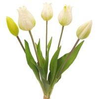 TULIPAN sztuczny TULIPANY SILIKONOWE BUKIET 5 sztuk BIAŁE