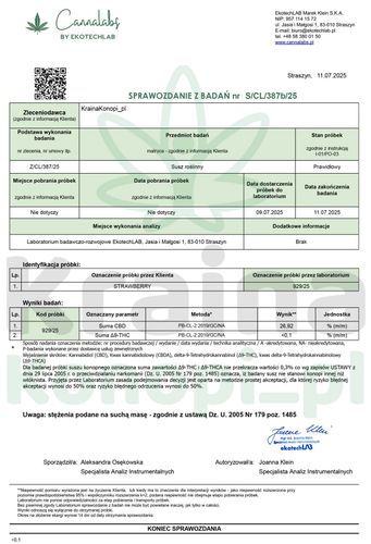 CBD SUSZ KONOPNY STRAWBERRY HASH BIOMASA KONOPNA SUROWIEC ROŚLINNY 100g na Arena.pl