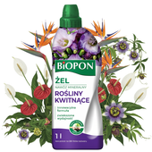 NAWÓZ ŻEL DO FIOŁKÓW BRATKÓW SKRZYDŁOKWIATÓW ANTURIUM STRELICJI KAWOWCA 1L