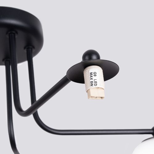 Żyrandol ASTRAL 5 czarny na Arena.pl