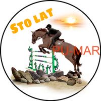 Opłatek na tort KONIE Koń Mustang Konik Kuc Urodziny Tekst Gratis