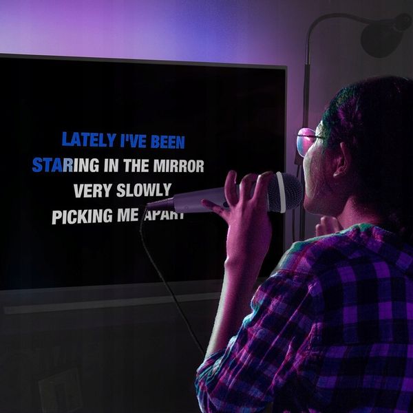 Zestaw KARAOKE głośnik bluetooth CD+G/2 mikrofony zdjęcie 15