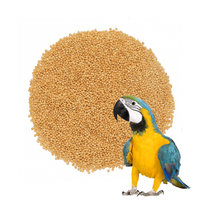 Proso Złote – Źródło Zdrowia  Pokarm dla Ptactwa Egzotycznego 25 kg