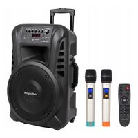 Głośnik Bluetooth KOLUMNA MIKROFON KARAOKE USB SD