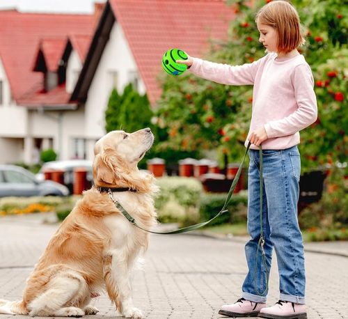 Interaktywna Zabawka dla Psa Piłka z Dźwiękiem Wytrzymała Dużych Ras Psów na Arena.pl