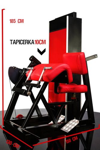 Maszyna na triceps PMS14 na Arena.pl
