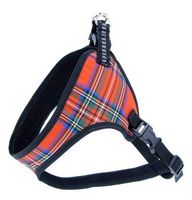 Champion Szelki Taśma 40 Komfort [Tsz]