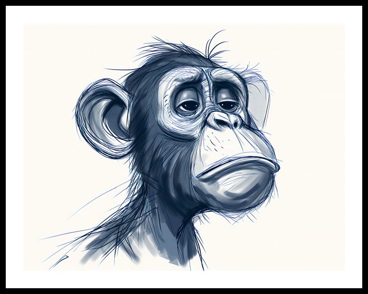 Plakat 65x50cm Zaduma zdjęcie 3