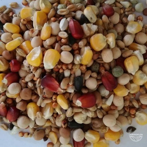 Karma dla gołębi BEST NATURAL S mieszanka sezonowa 20kg na Arena.pl