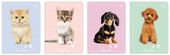 zeszyt a5/16k trzy linia kol puppy sign 8272 a'20
