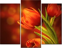 70 90CM OBRAZ 3 ELEM CZERWONE TULIPANY ŚCIENNY DRUK PŁÓTNO