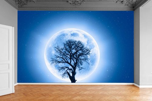 Fototapeta DRZEWO KONAR PEŁNIA KSIĘŻYCA 370x250 na Arena.pl