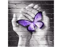 50X50CM MOTYL DŁONIACH OBRAZ