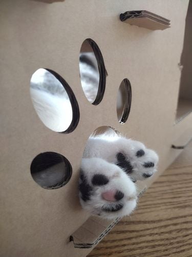 Domek Dla Kota Z Kartonu Drapak Tekturowy Karton na Arena.pl