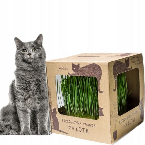 2x EKO Trawka Dla Kota Trawa Odkłaczająca Przysmak EKOLOGICZNA WYROŚNIĘTA na Arena.pl