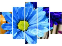 105CM 150CM OBRAZ 5 ELEM INTENSYWNE KOLORY JAMIE MCCAFFREY DRUK