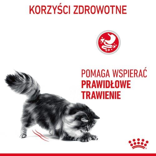 Royal Canin Digestive Care Karma Mokra W Sosie Dla Kotów Dorosłych, na Arena.pl