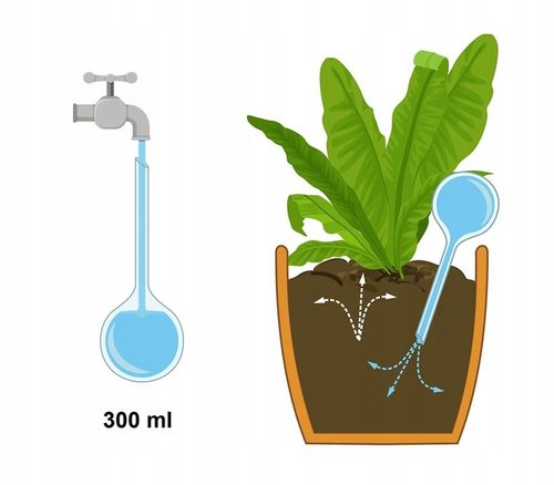 10x KULE NAWADNIAJĄCE DO KWIATÓW ROŚLIN DOZOWNIK WODY DO PODLEWANIA DOMOWY na Arena.pl