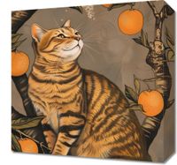 product-compare-59507840