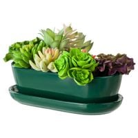 Kaktusiarka Doniczka 27,5 cm Butelkowa zieleń Owal Ceramika