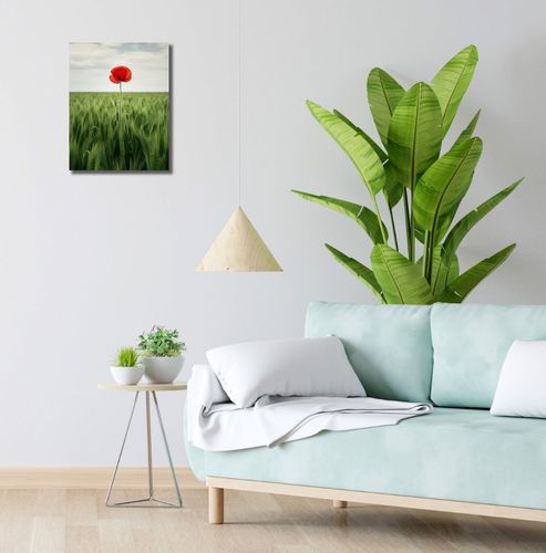 Obraz 30x40cm Samotny Mak na Polu na Arena.pl