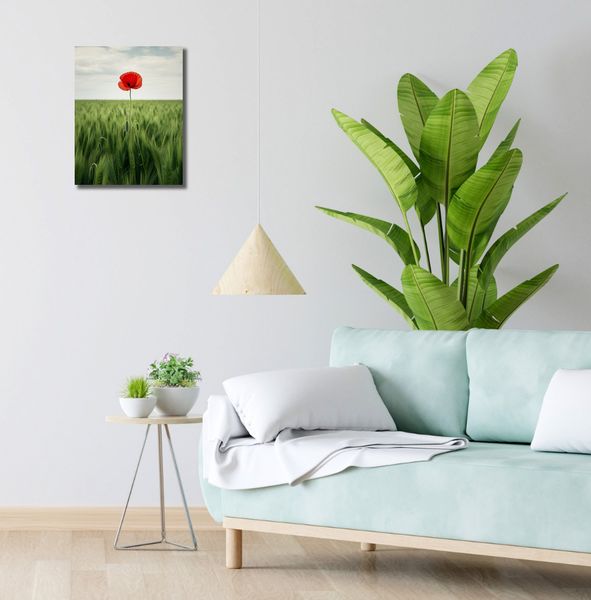 Obraz 30x40cm Samotny Mak na Polu zdjęcie 2