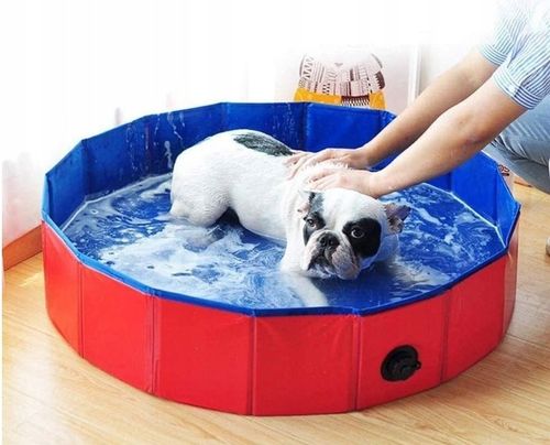 BASEN BRODZIK DLA PSA ZWIERZĄT NA LATO 80 x 30 cm na Arena.pl