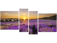 120CM 55 OBRAZ 4 ELEM POLE LAWENDY ŚCIENNY