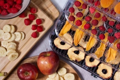 SUSZARKA DO GRZYBÓW OWOCÓW WARZYW ZIÓŁ SPOŻYWCZA TIMER - DUŻA WYSOKA na Arena.pl