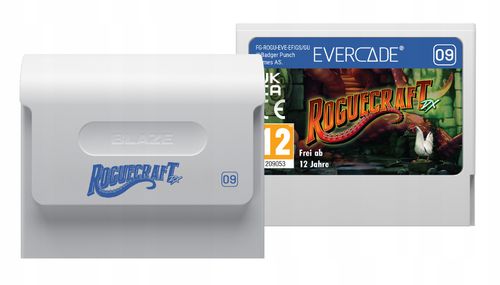 Gra Evercade Rougecraft DX na Arena.pl