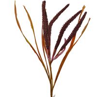 product-compare-61190601