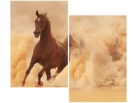 product-compare-58655441