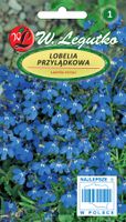 nasiona lobelia przylądkowa, stroiczka niebieska
