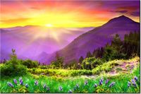 product-compare-58694308