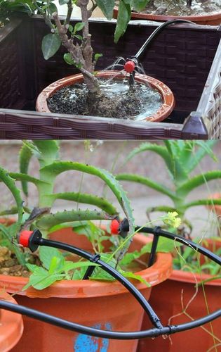 ZESTAW NAWADNIANIE KROPELKOWE SYSTEM 25m + 30 DYSZ na Arena.pl