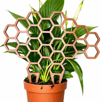 Podpora do roślin „Plaster Miodu” – dekoracyjna kratka do doniczki trellis