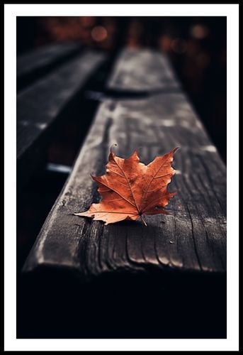 Plakat 53x81cm Pojedynczy Liść na Arena.pl