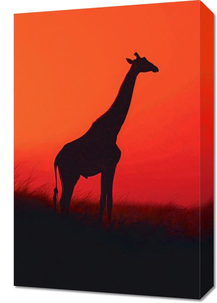 Obraz 40x60cm Żyrafa w Czerni zdjęcie 1