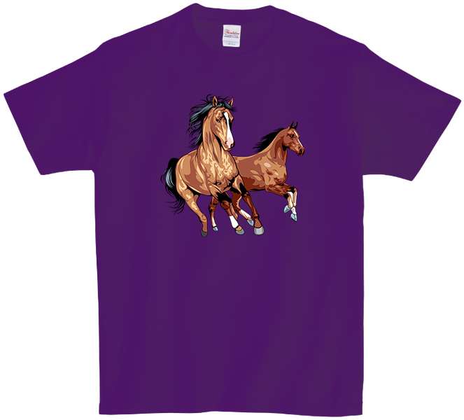 Koszulka T-shirt Konie zdjęcie 1