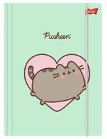 TECZKA Z GUMKĄ A4 300G PUSHEEN ST.MAJEWSKI