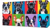 Obraz 50x30cm Buldogi Francuskie