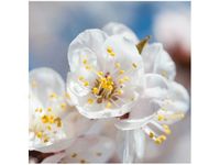 product-compare-58649045