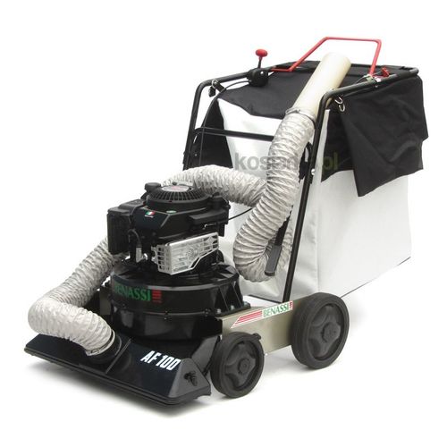 BENASSI AF 100 na Arena.pl