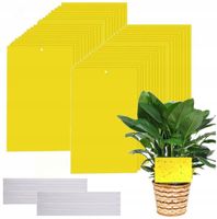 60x ŻÓŁTE LEPY DO DONICZEK DONICZKI NA MUSZKI MSZYCE OWADY ZIEMIÓRKI 60 SZT