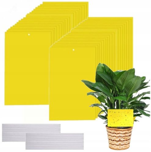 60x ŻÓŁTE LEPY DO DONICZEK DONICZKI NA MUSZKI MSZYCE OWADY ZIEMIÓRKI 60 SZT na Arena.pl