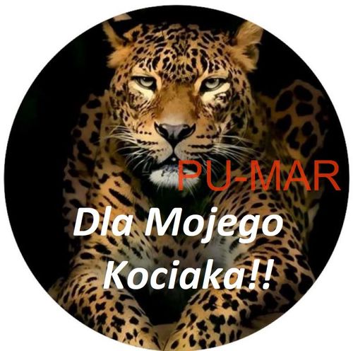 Opłatek na tort GEPARD Kot Puma Tygrys Zwierzę Kocur Tekst Gratis na Arena.pl