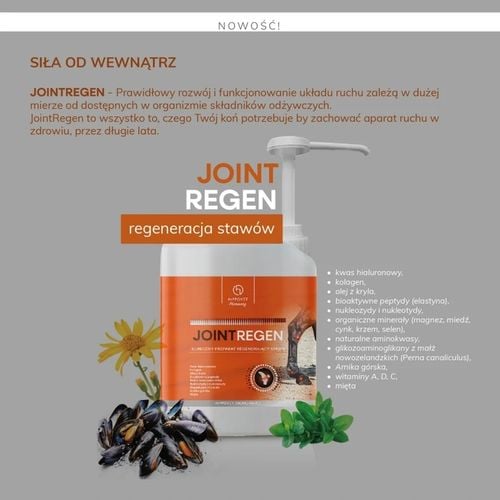 HIPPOVET PHARMACY JOINTREGEN 2,5L na Arena.pl