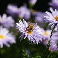 product-compare-57951218